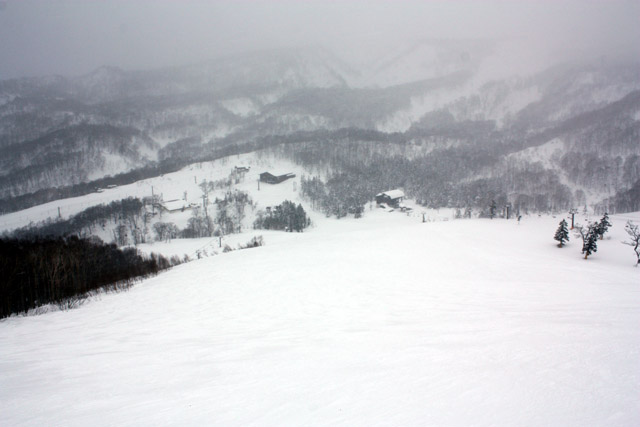 長野県 白馬 栂池スキー場　トップ　栂の森ゲレンデ　栂池ロープウェイ乗り場と、ゴンドラリフト「イブ」山頂駅を見下ろす